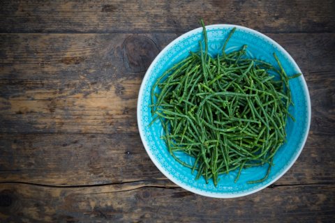 CUL Map Immune Boosting Foods 12
