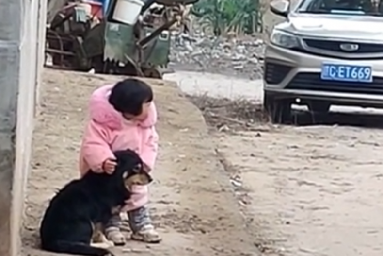 Girl covers dog's ears from fireworks