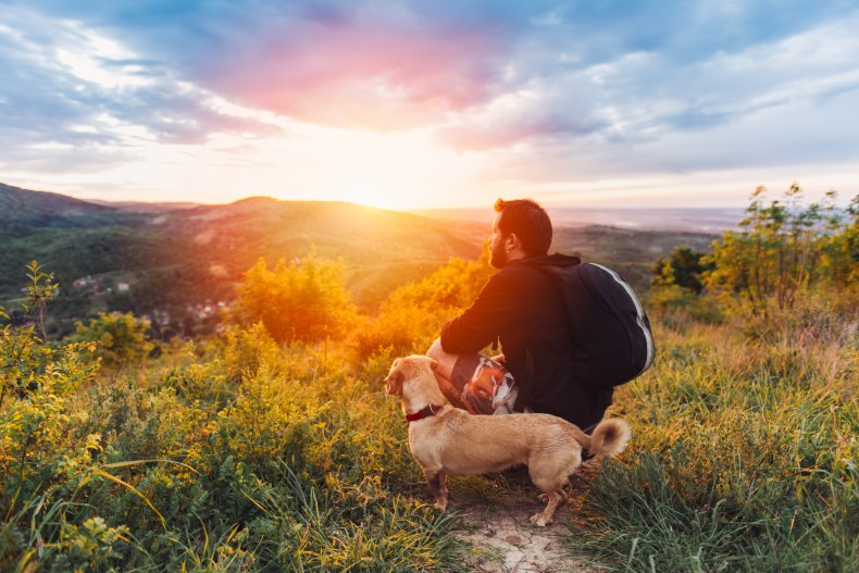 A man with dog enjoying hilltop views.