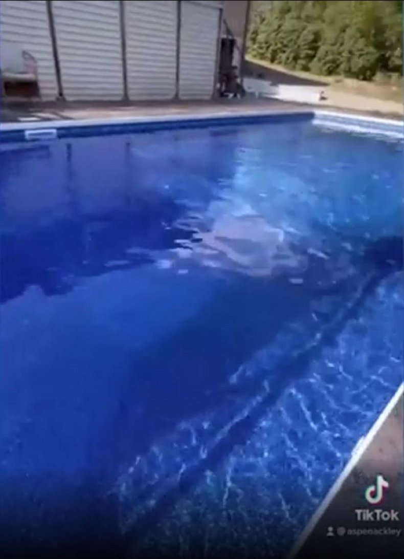 Photos of the Pougnet’s pool transformation.