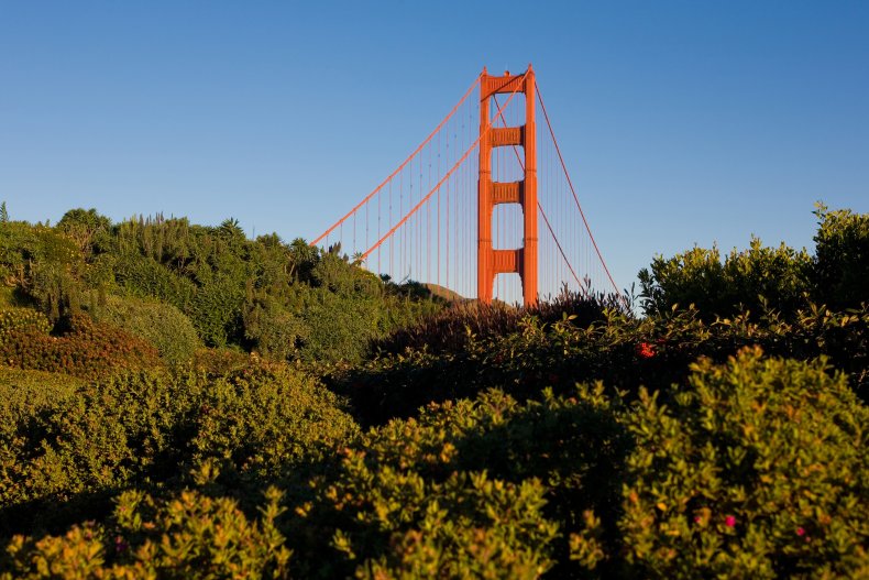 A view of the Golden Gate Bridge.