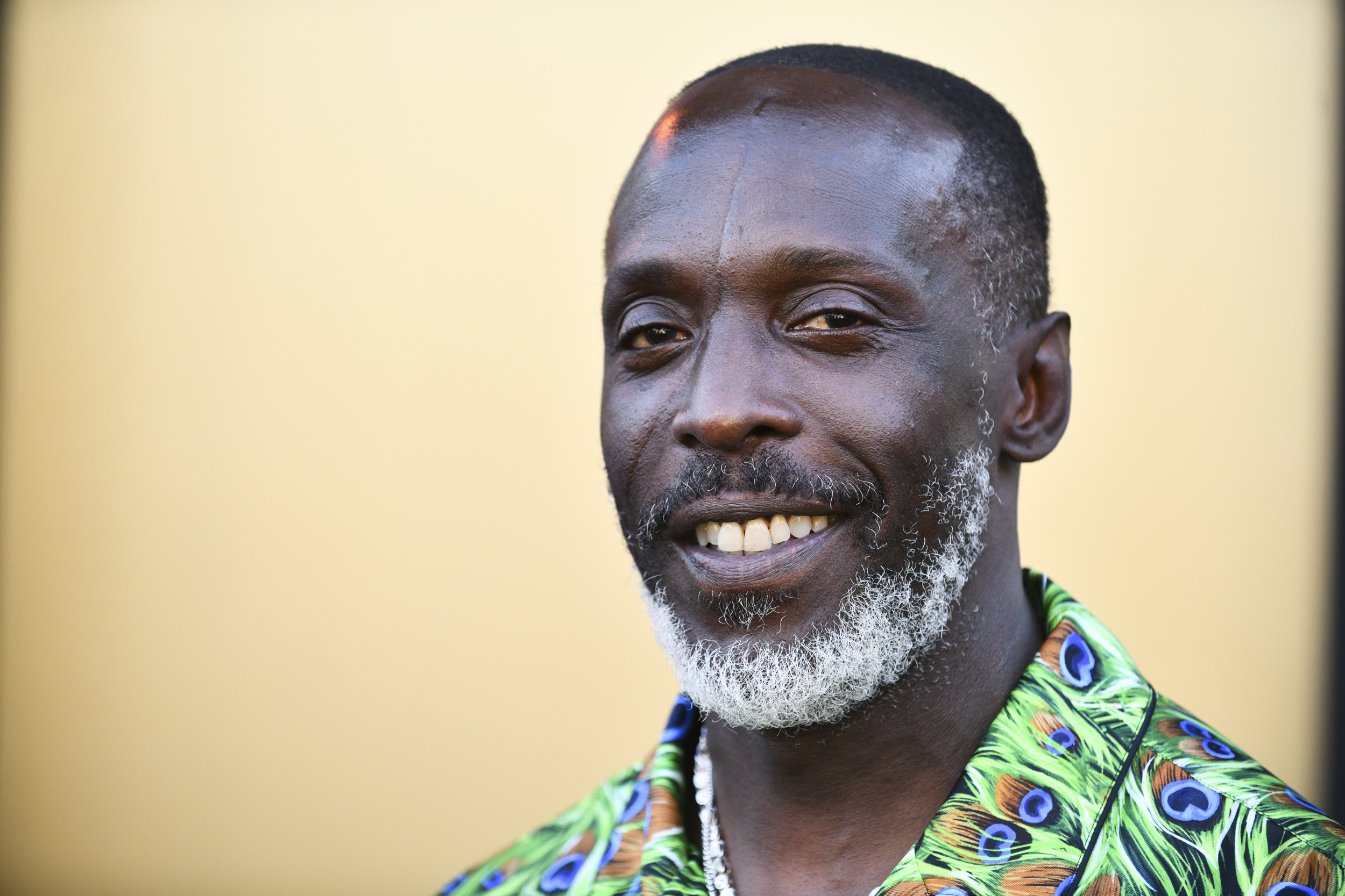 Gang Members Busted for Selling Fentanyl That Killed Michael K. Williams