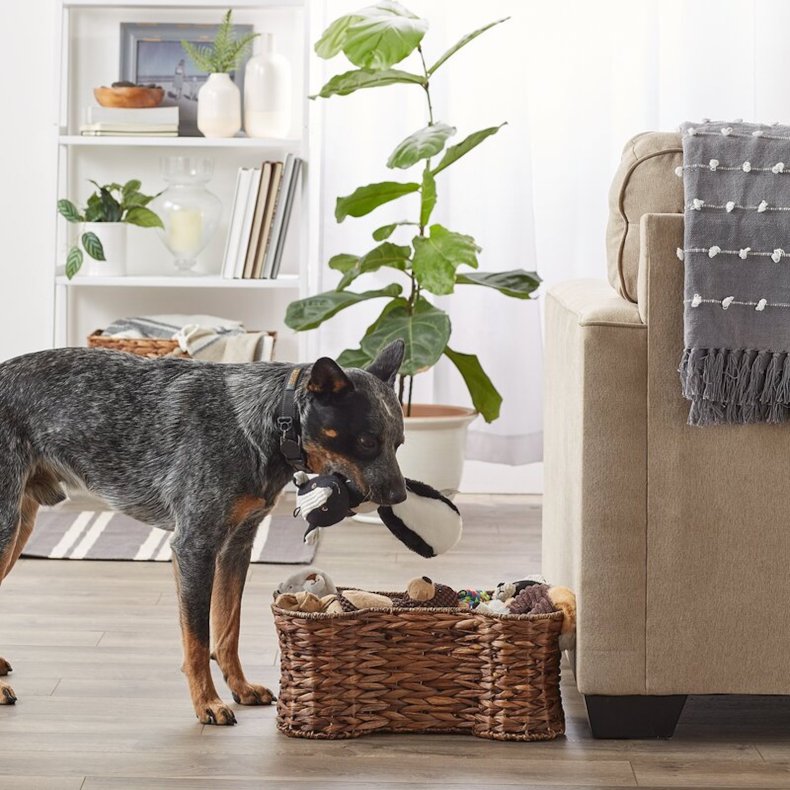 Bay Isle Home Hyacinth Bone Pet Basket