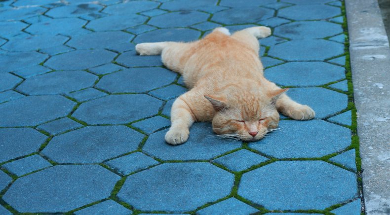 Sprawled Out