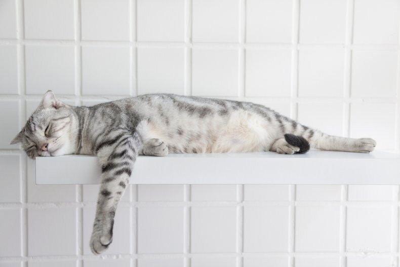 Sleeping on the Edge