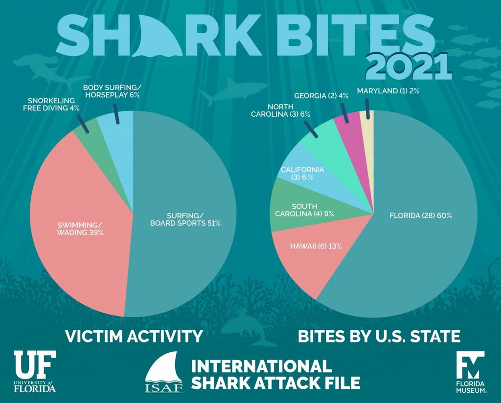 New Study Shows Shark Bites Are On The Rise Across The World