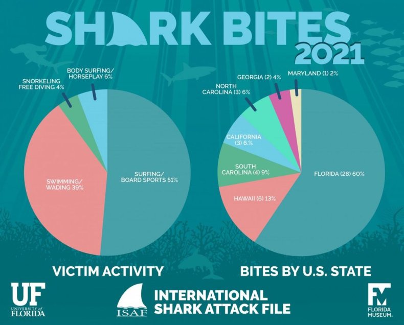 Shark attack graph 