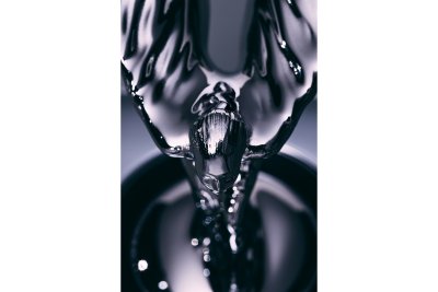 Rolls-Royce Spirt of Ecstasy Spectre Rolls-Royce Spirt of Ecstasy Spectre