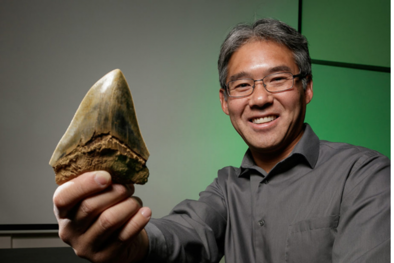 Kenshu Shimada holds a megalodon tooth