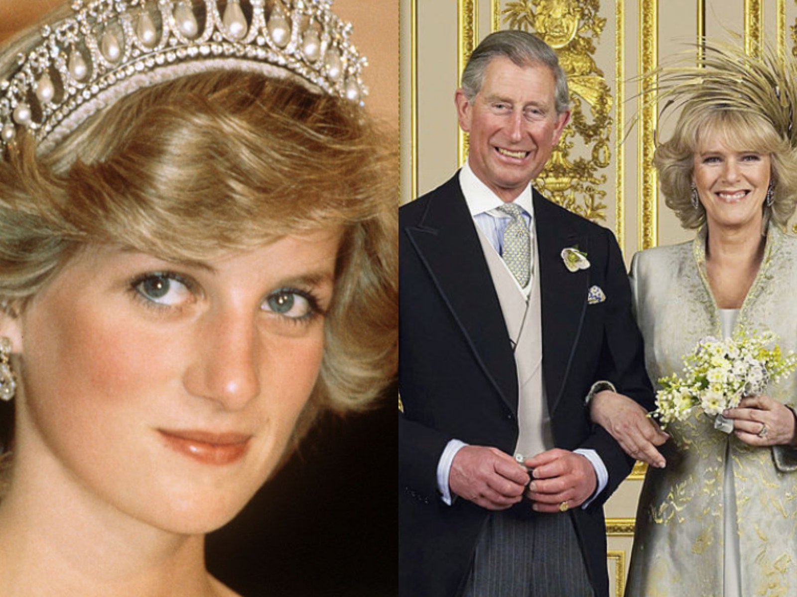 Princess Diana's Legacy Hangs Over Camilla's Fate As Queen Consort - Newsweek