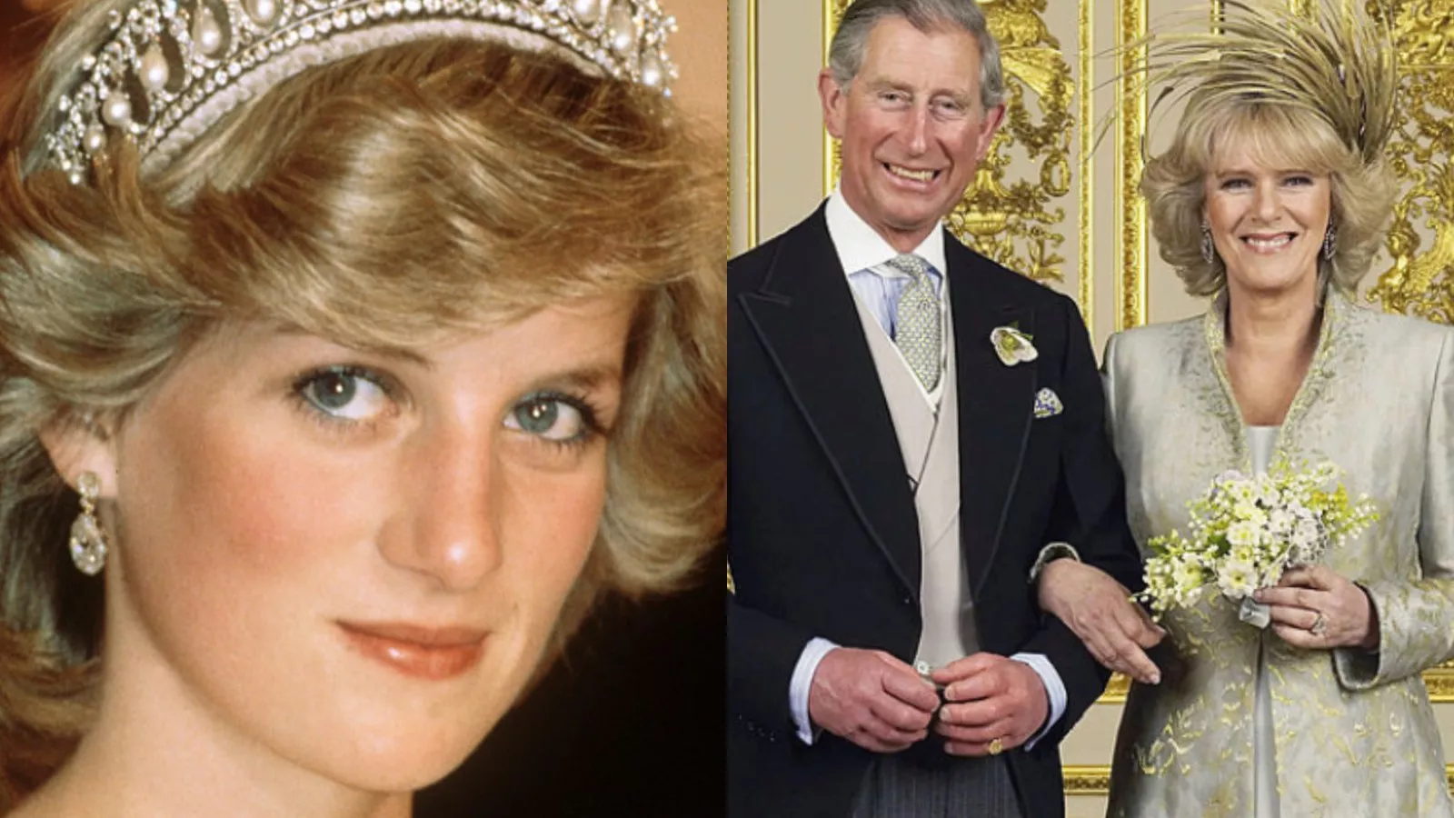 Princess Diana's Legacy Hangs Over Camilla's Fate As Queen Consort - Newsweek