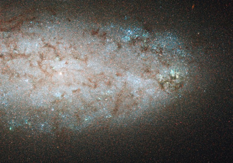 Galaxy NGC 2976