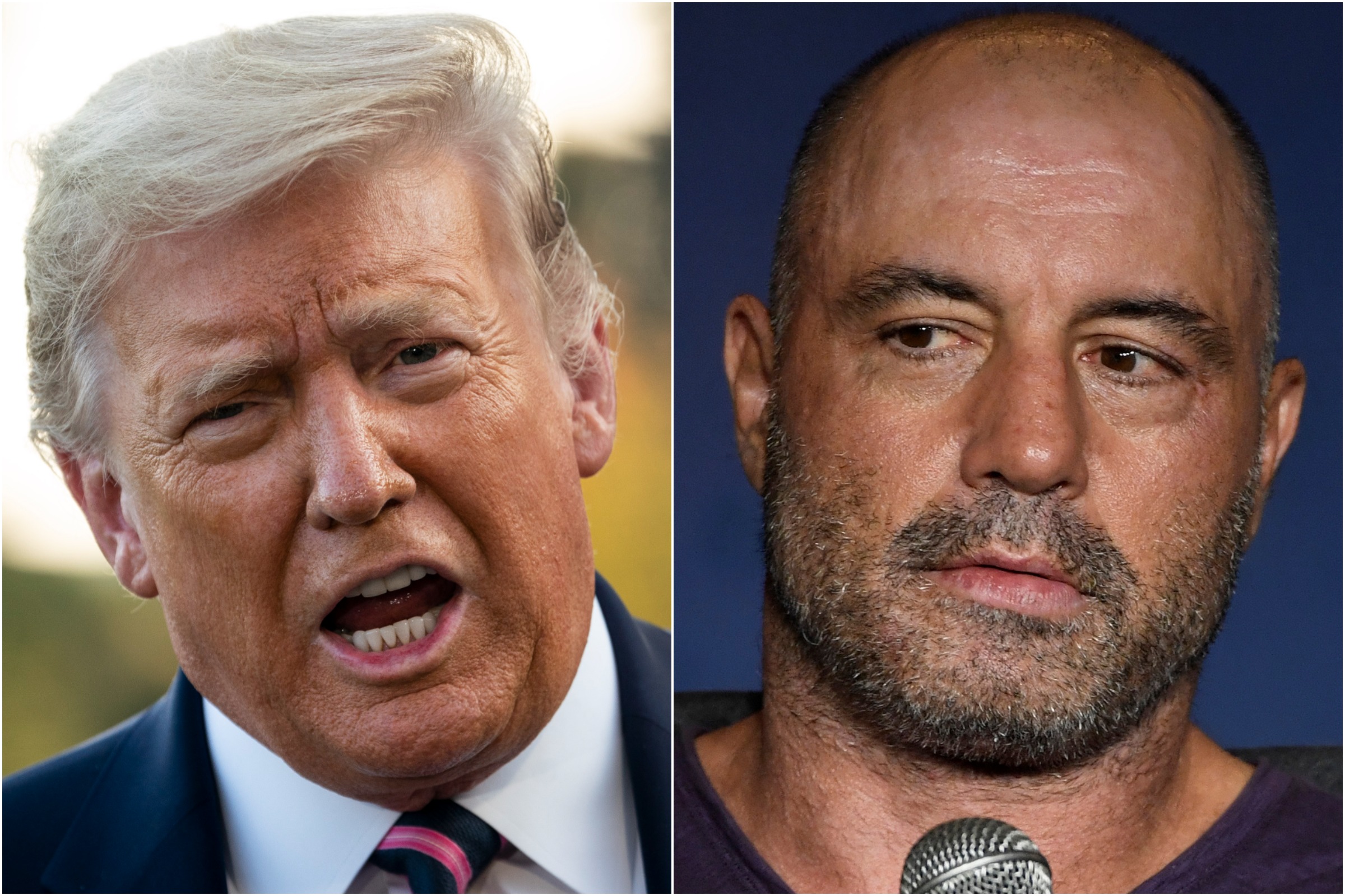 Donald Trump Tells Joe Rogan 'Stop Apologizing' To Avoid Looking 'Weak