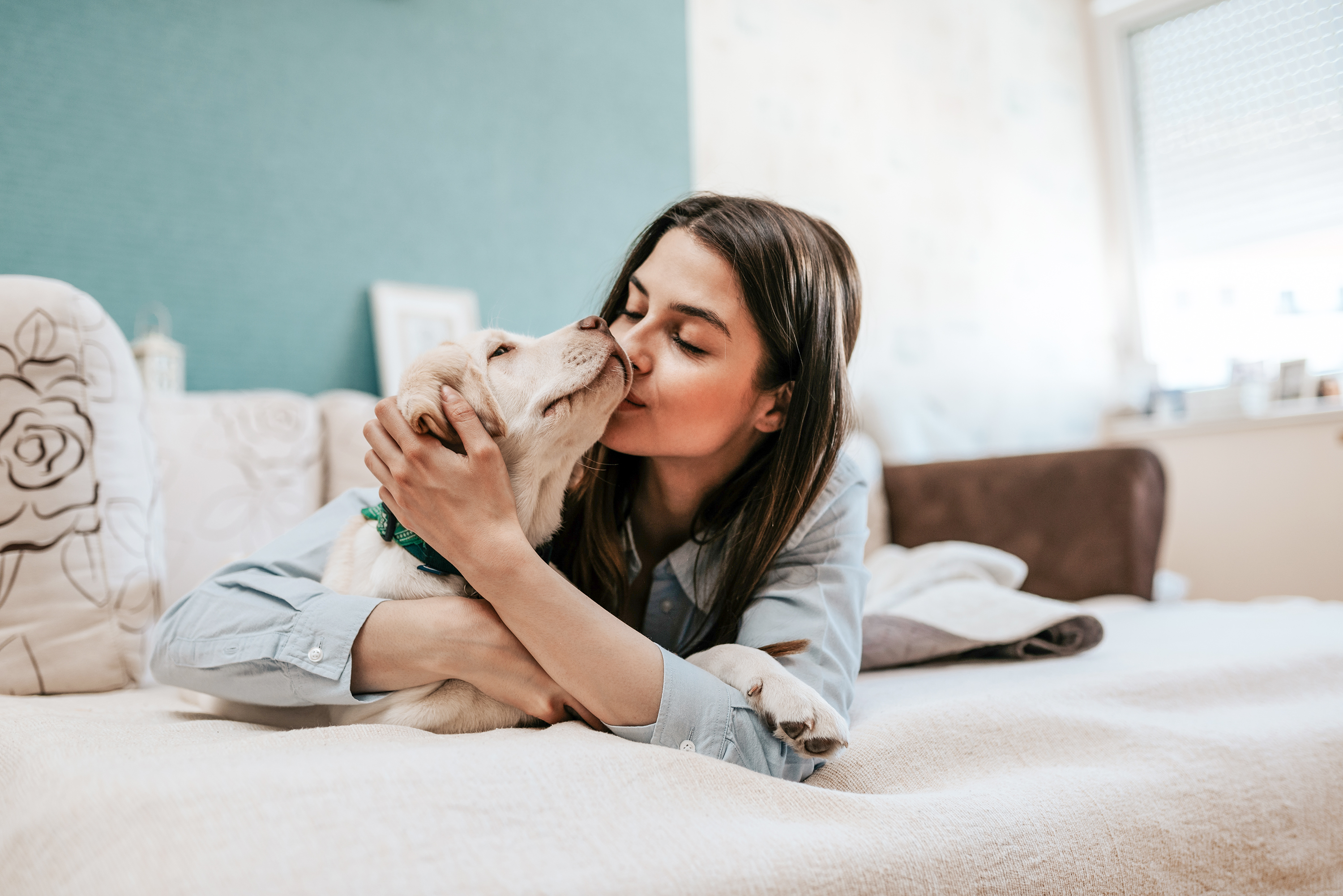 what do dog hand kisses mean