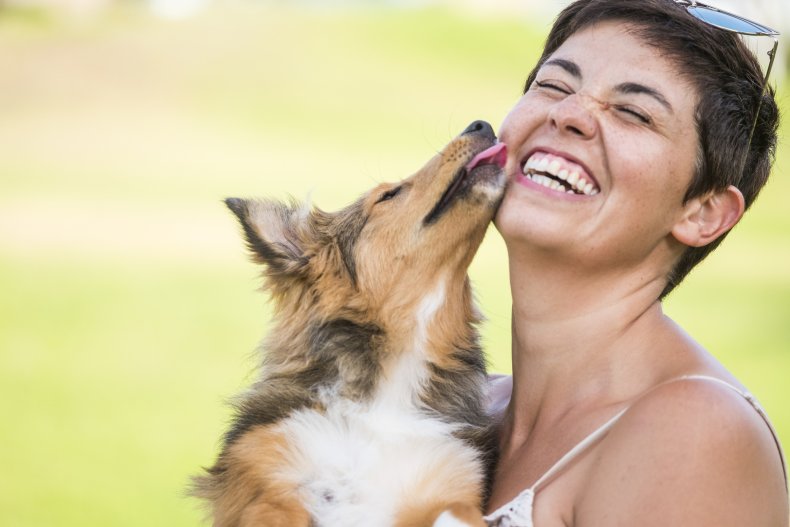 Do dogs understand kisses