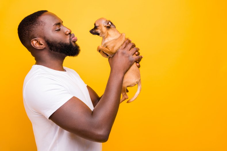 Dogs Realize Kisses Are Positive Messages