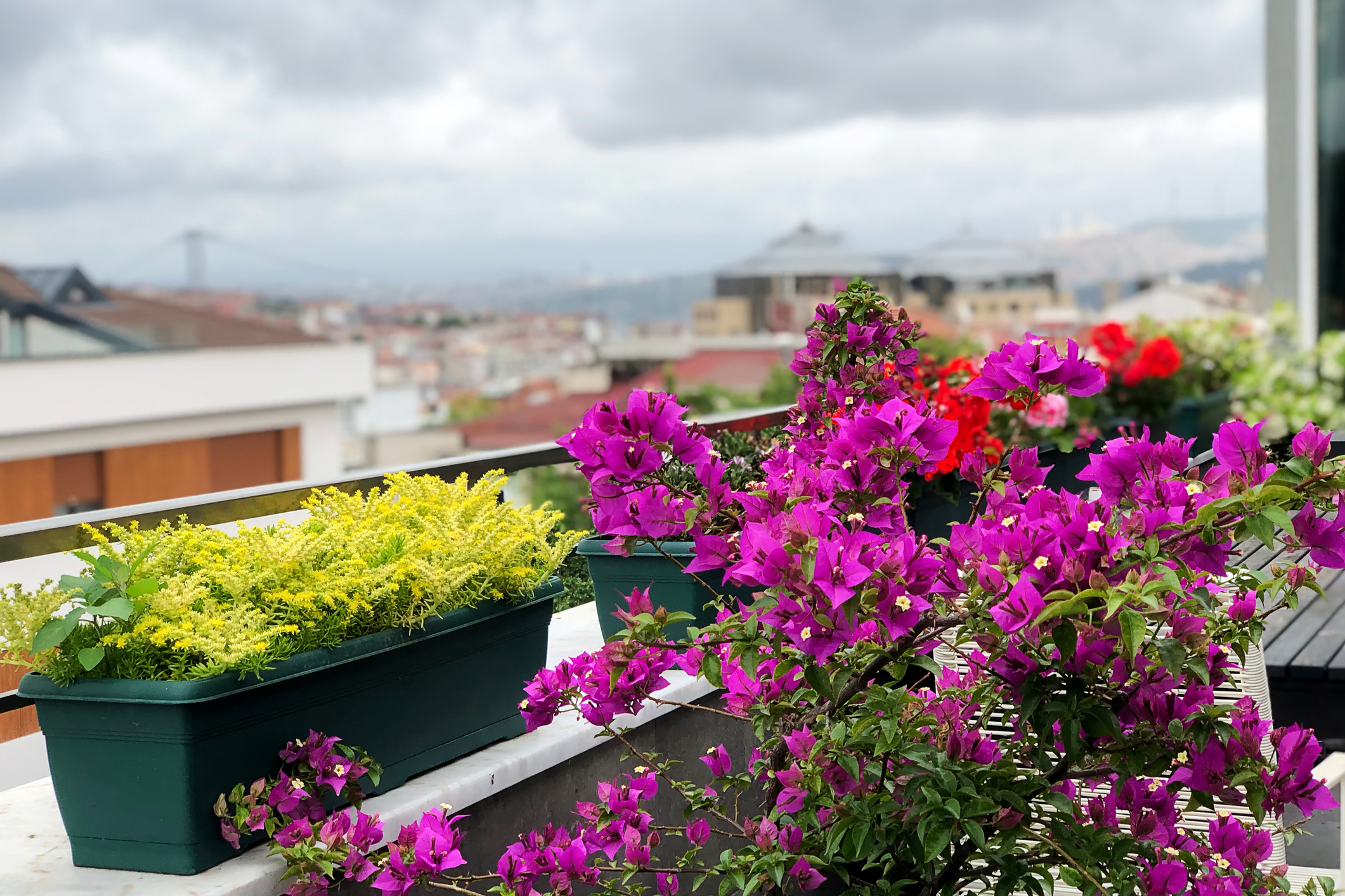 Balcony Garden Ideas to Utilize Your Apartment’s Outdoor Space