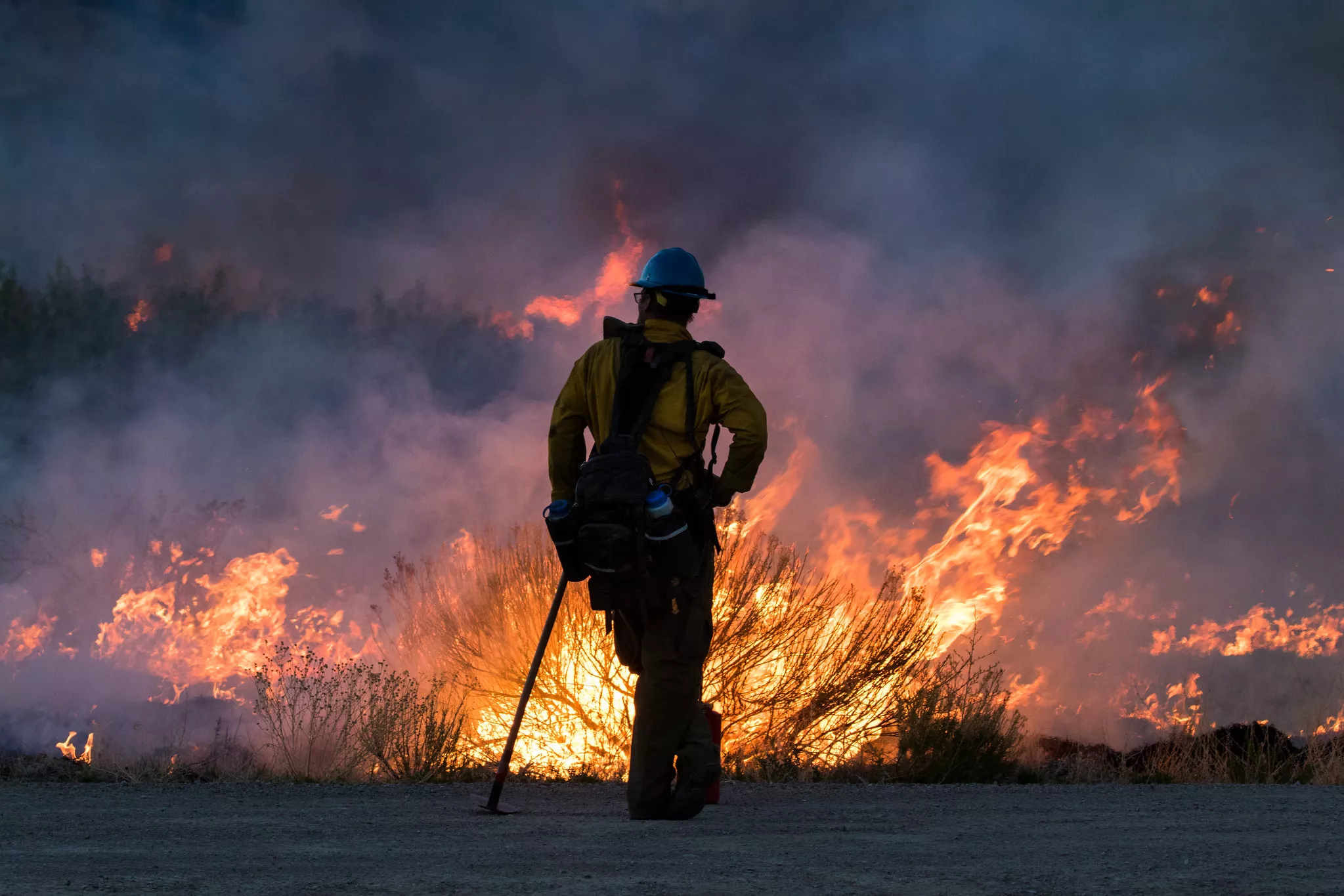 Incredible Images Show Life for America's Firefighters on the Front Line - Vimarsana News