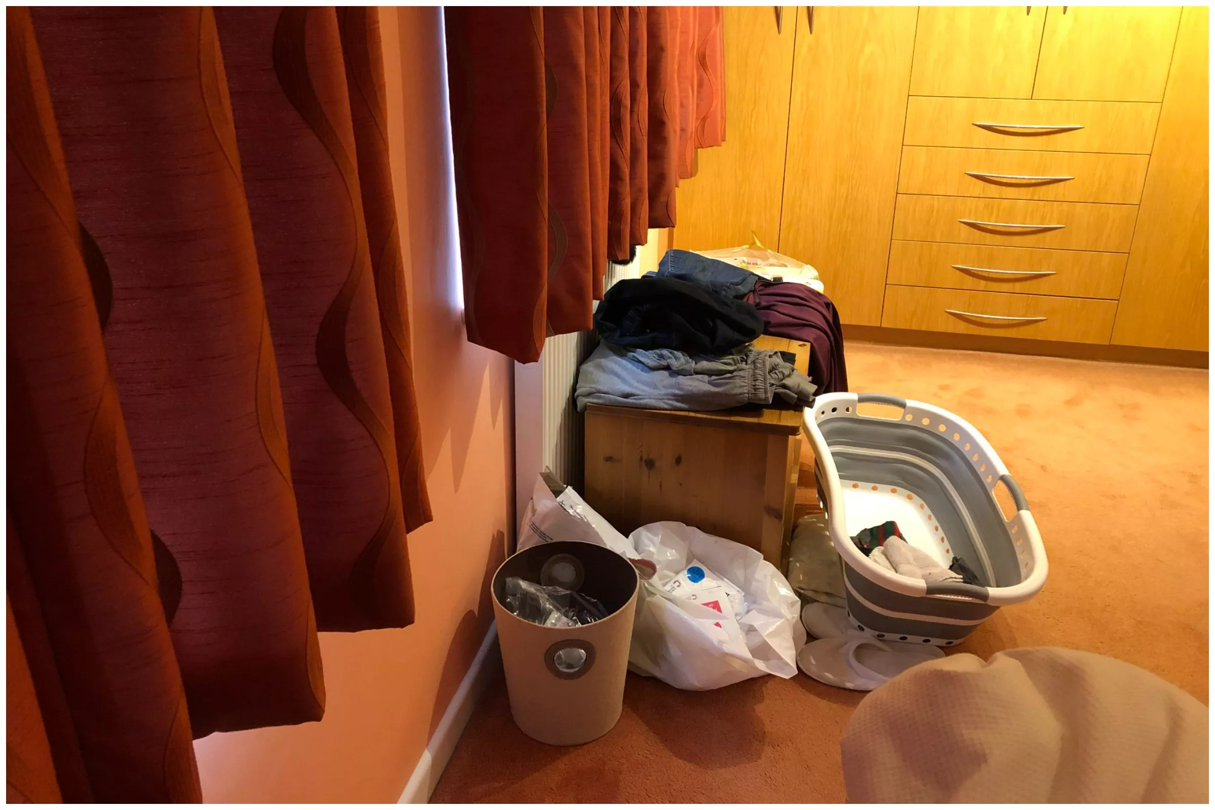 Internet Obsessed With Finding Cat Lurking in Viral Photo—'Sneaky-Sneak' - Vimarsana News