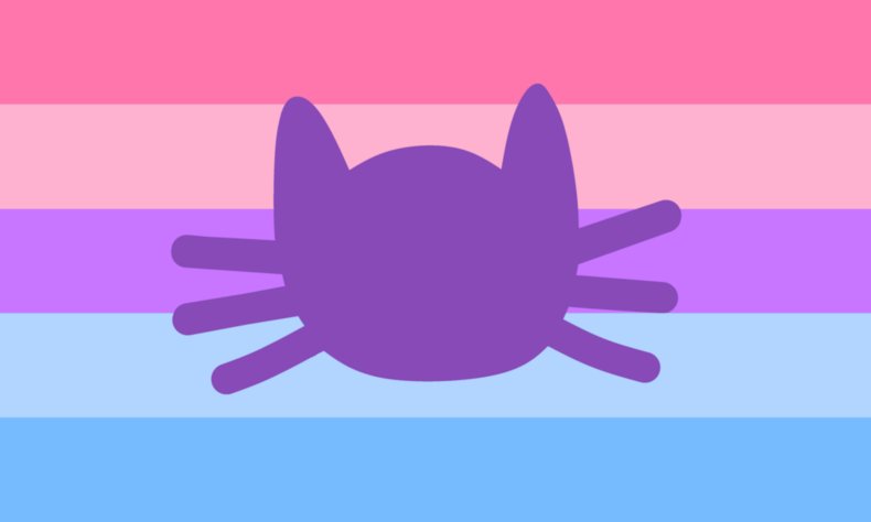 Catgender flag 