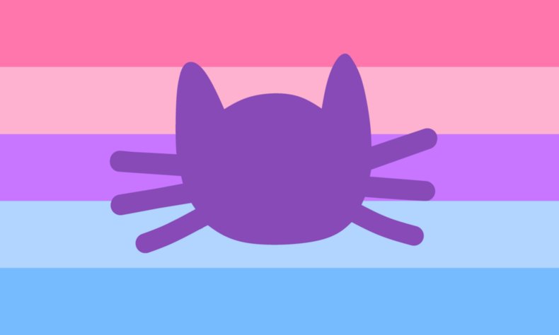 Catgender flag