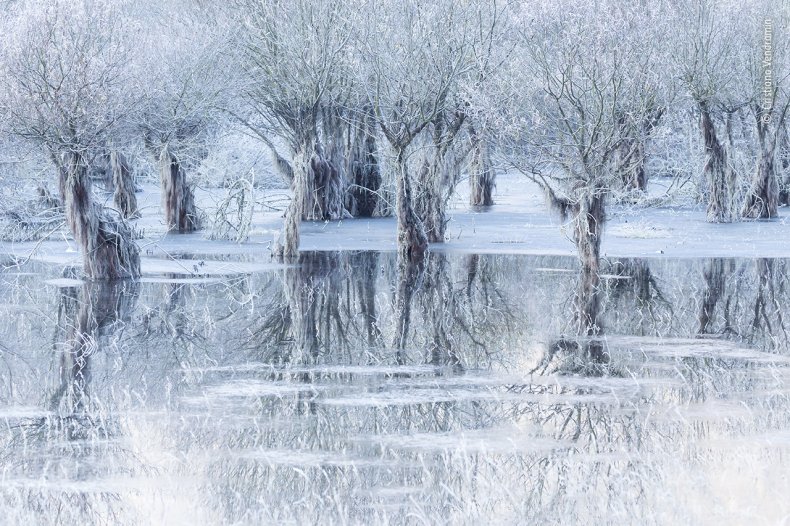 'Lake of Ice' by Cristiano Vendramin 