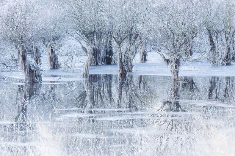 'Lake of Ice' by Cristiano Vendramin