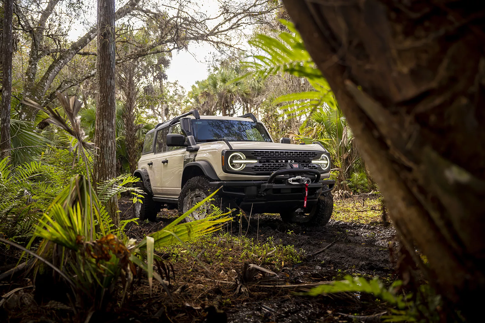 New 2022 Ford Bronco Everglades Is a Sweet Swamp Thing - Vimarsana News