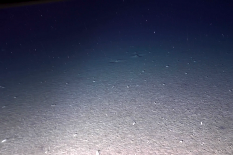 Screenshot shows floor of Atacama Trench