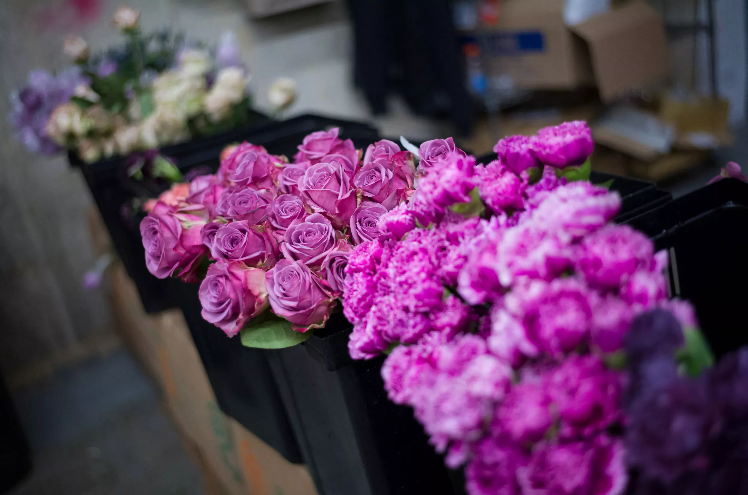 Man Leaving Flowers on Fiancée's Grave Arrested When Her Father Disapproves - Vimarsana News