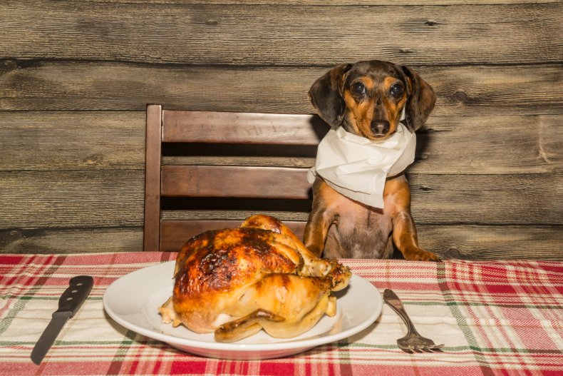 A dog and a cooked chicken.