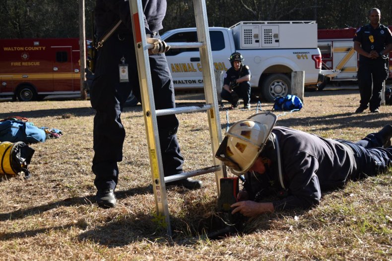 Dog Rescue