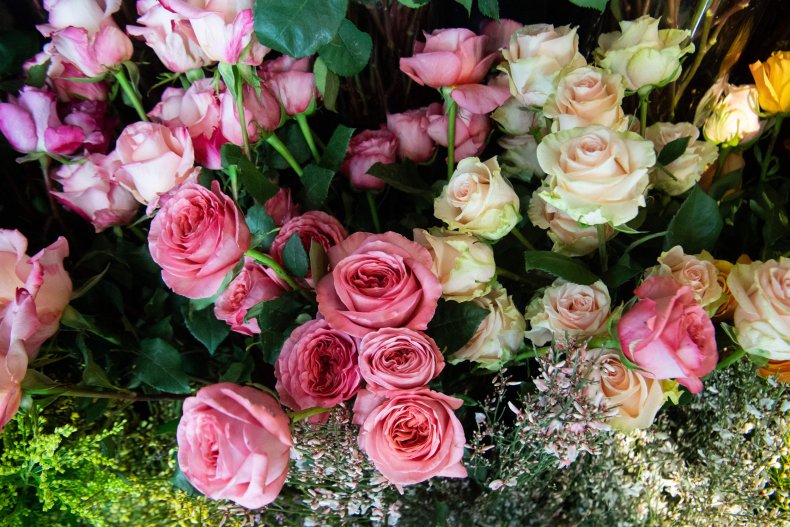 Roses and other flowers are seen