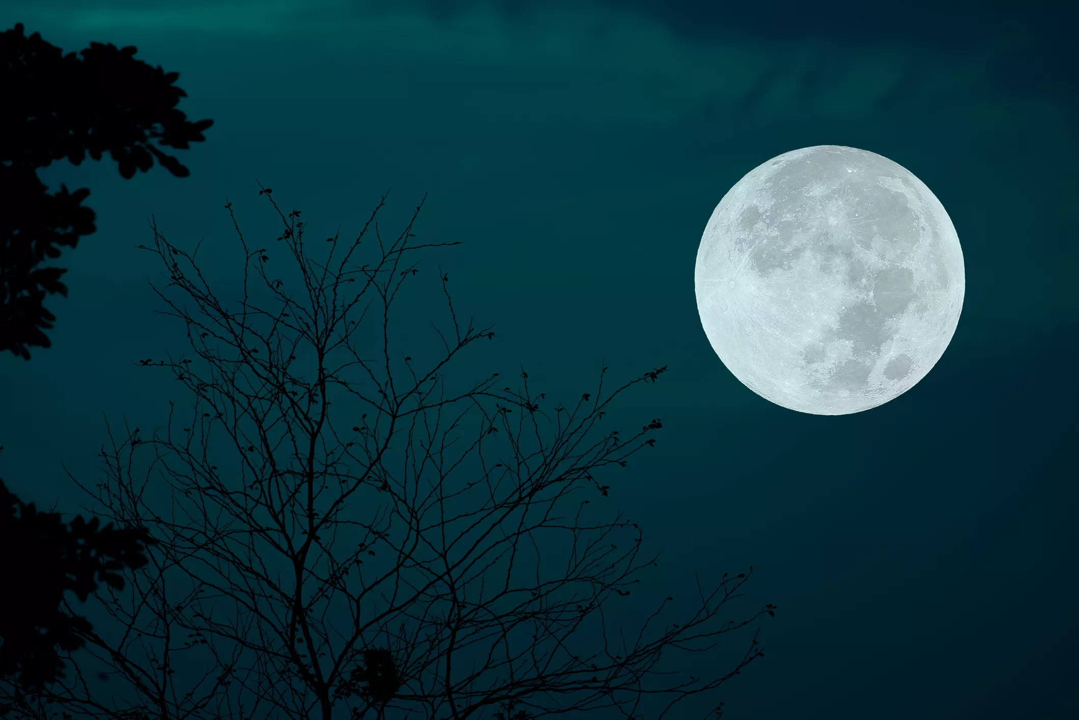 When Is the Full Moon in February? Snow Moon Meaning Explained - Vimarsana News