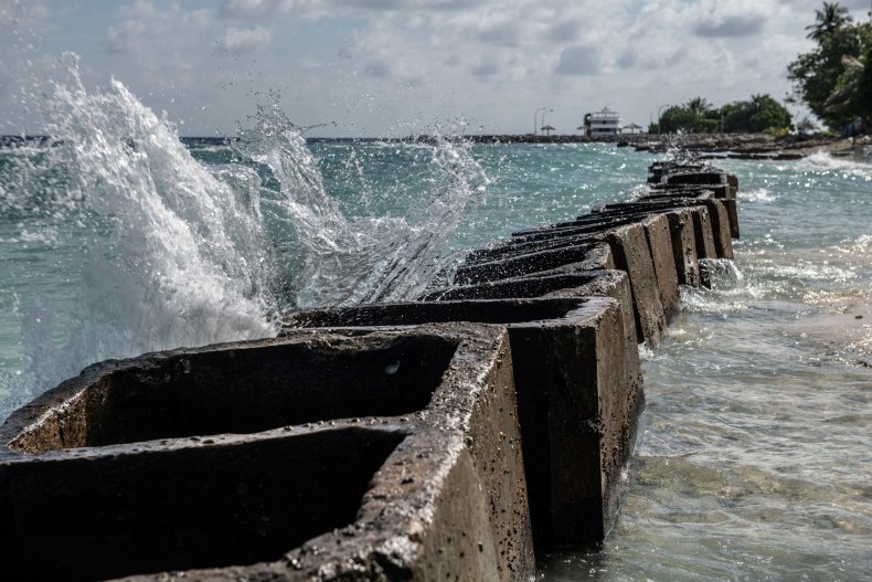 Concrete blocks are placed along the shoreline