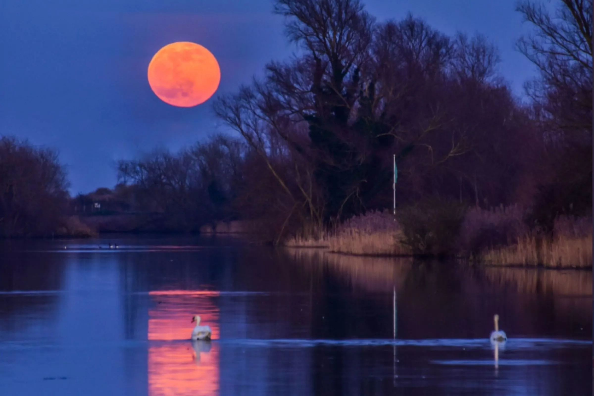 How to Photograph the Full Snow Moon With a Phone - Vimarsana News