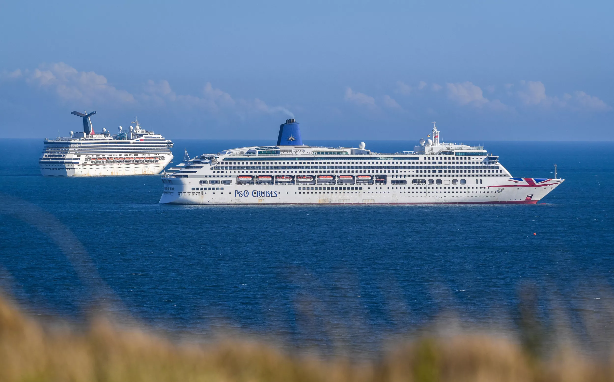 Woman Goes Overboard From Cruise Ship, Sparking Coast Guard Search - Vimarsana News