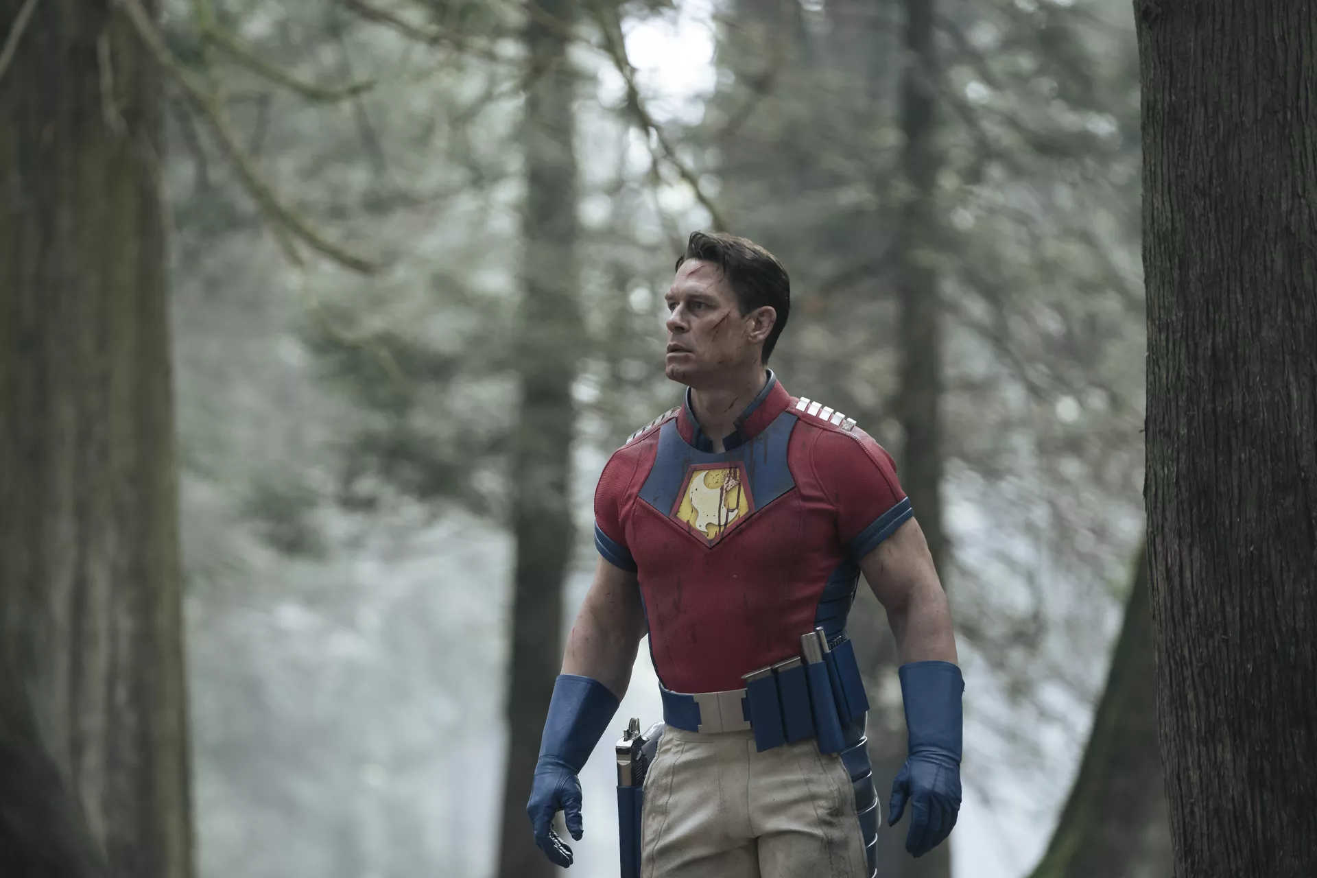 'Peacemaker' Finale Recap: One Last Stand and Some Big DC Cameos - Vimarsana News