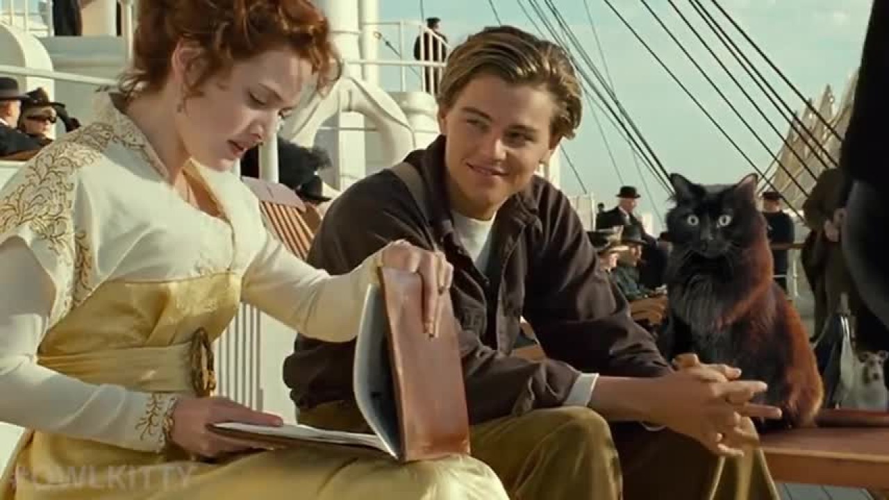 Kate Winslet Replaced with Cat in Hilarious 'Titanic' Spoof Video Kate Winslet Replaced with Cat in Hilarious 'Titanic' Spoof Video