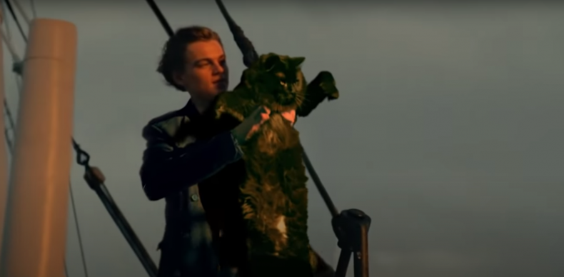 Leonardo DiCaprio and a cat.