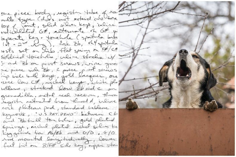 Letter and barking dog
