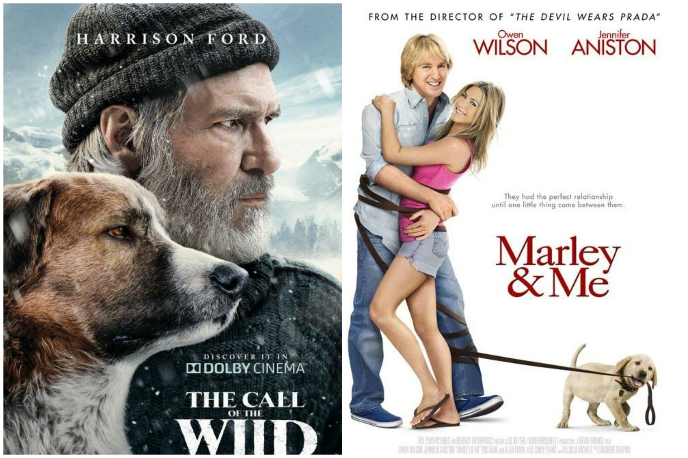 dog movies