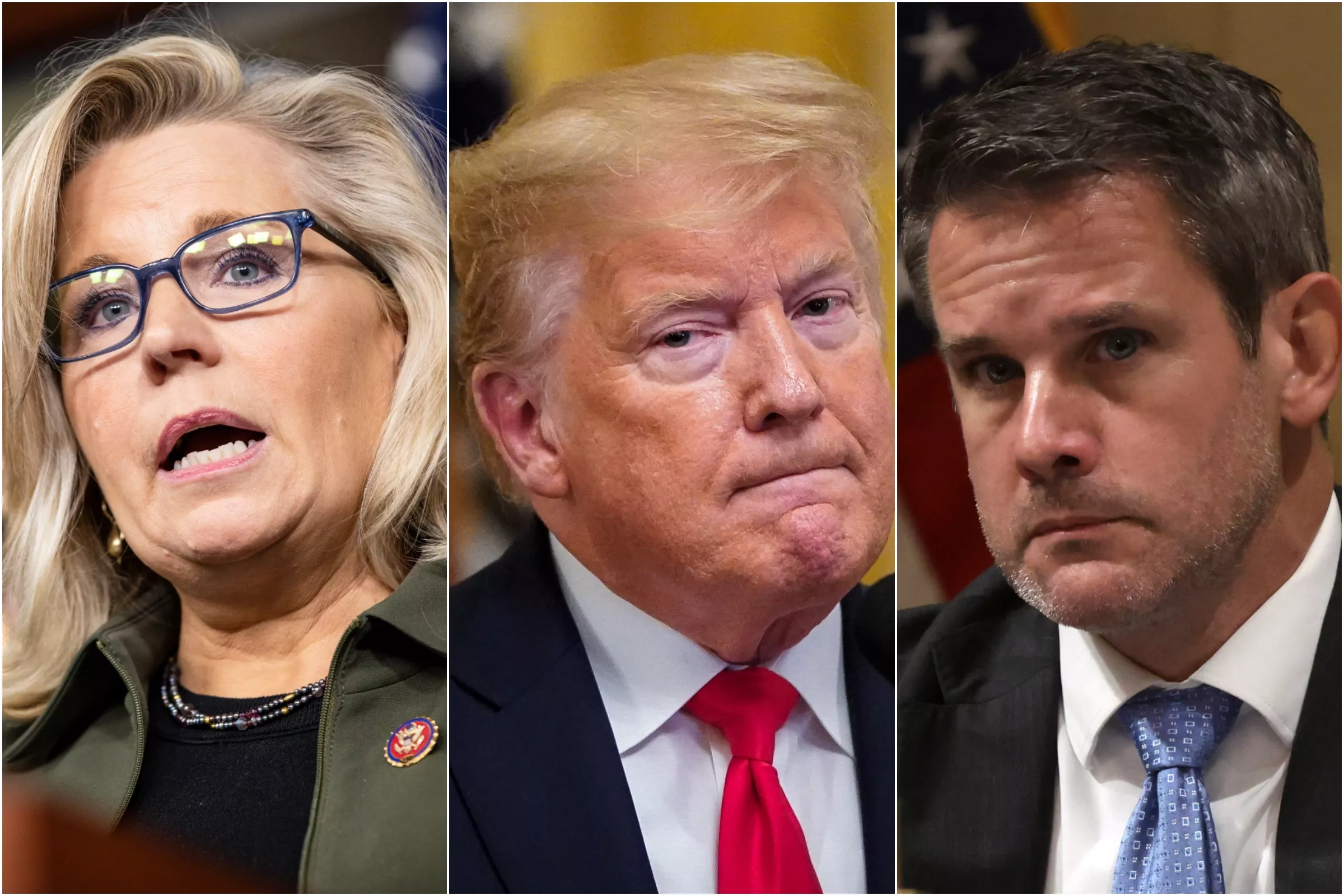 Move Against Liz Cheney Shows Donald Trump 'Must Be Scared': Adam Kinzinger - Vimarsana News