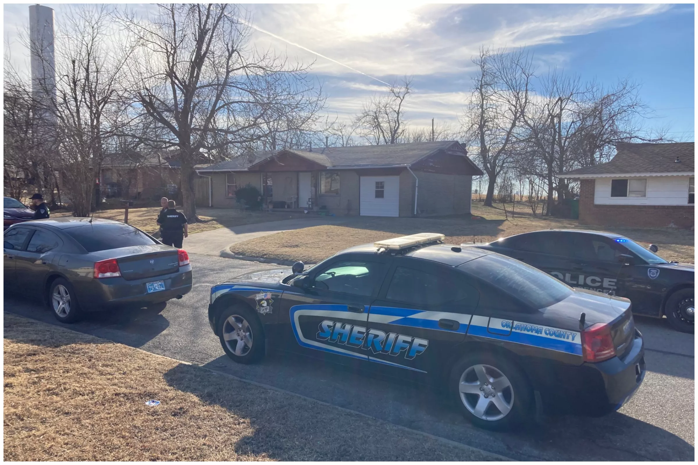 Pit Bull Leaves Toddler In Critical Condition After 'Horrible Attack' - Vimarsana News