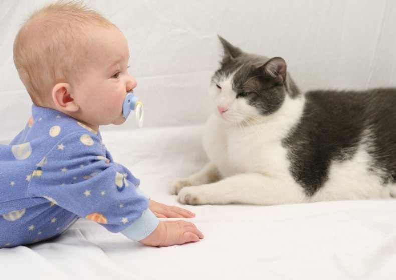 Baby & cat
