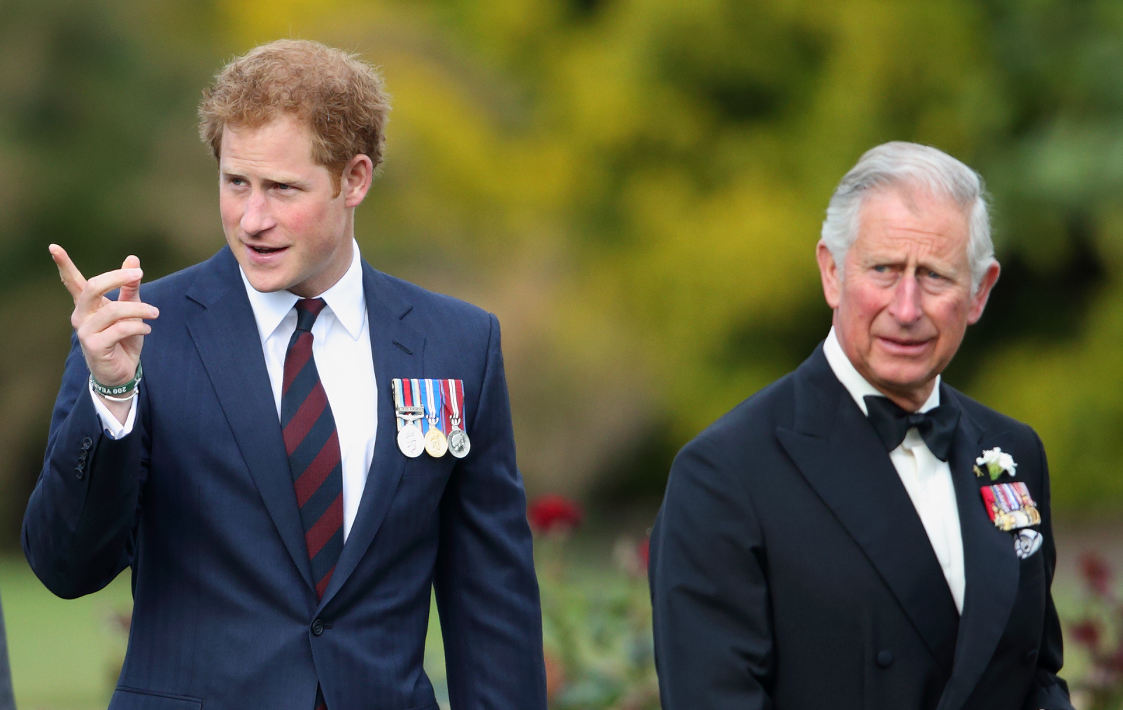 Prince Harry's 6 Tensions With Prince Charles: 'Genetic Pain,' Queen ...