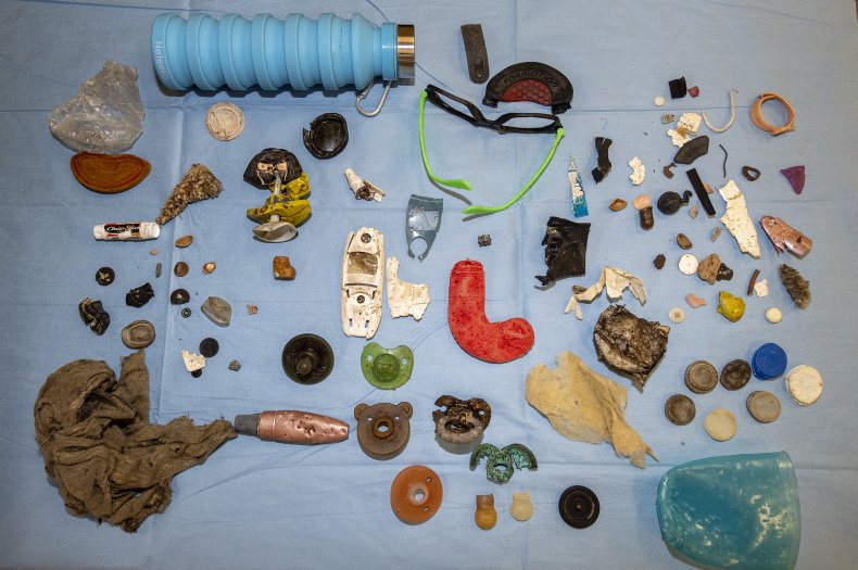 Foreign items found inside zoo animals.