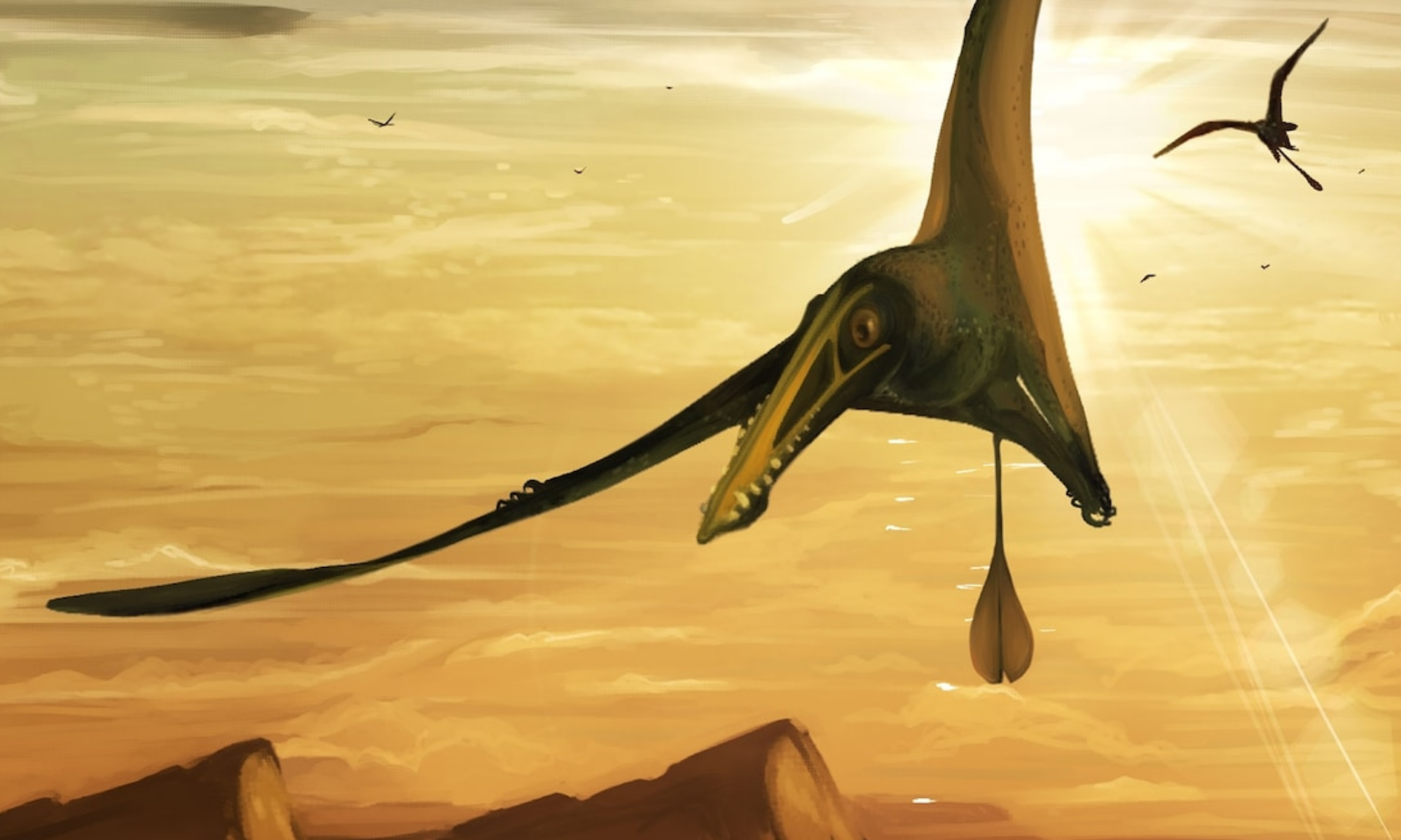 Largest Jurassic Pterodactyl Ever Found Had Wing Span Bigger Than