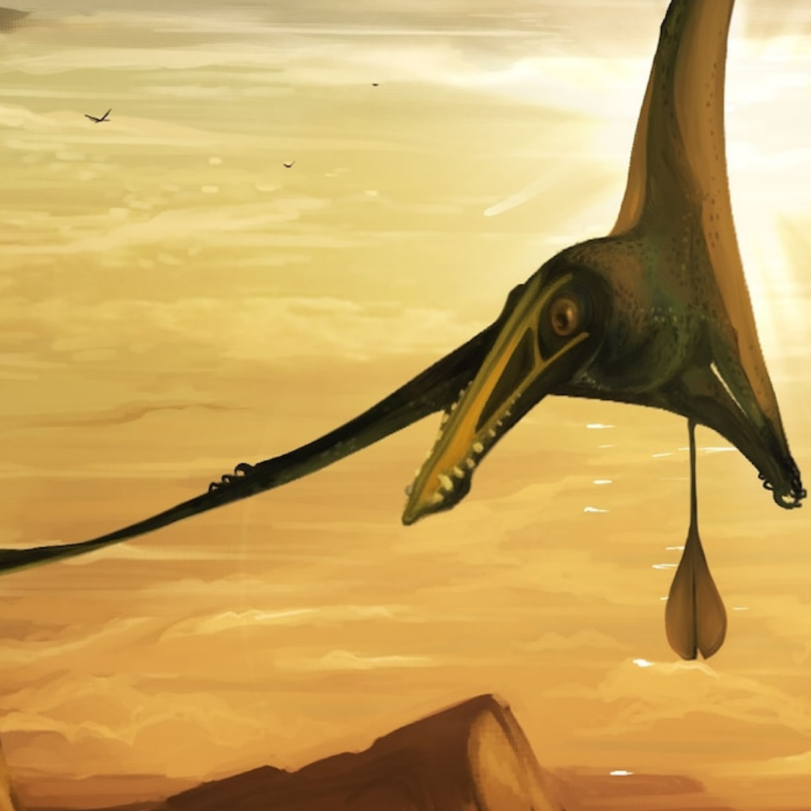 Largest Jurassic Pterodactyl Ever Found Had Wing Span Bigger Than Michael  Jordan