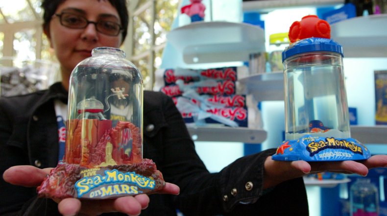sea monkeys